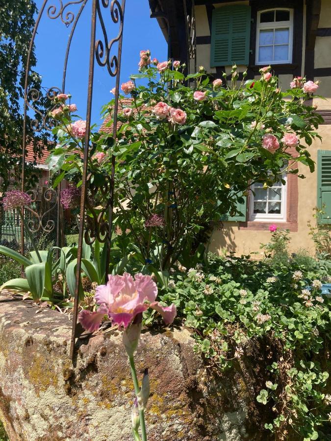 Bed and Breakfast Au Fil Du Temps Imbsheim Exterior foto
