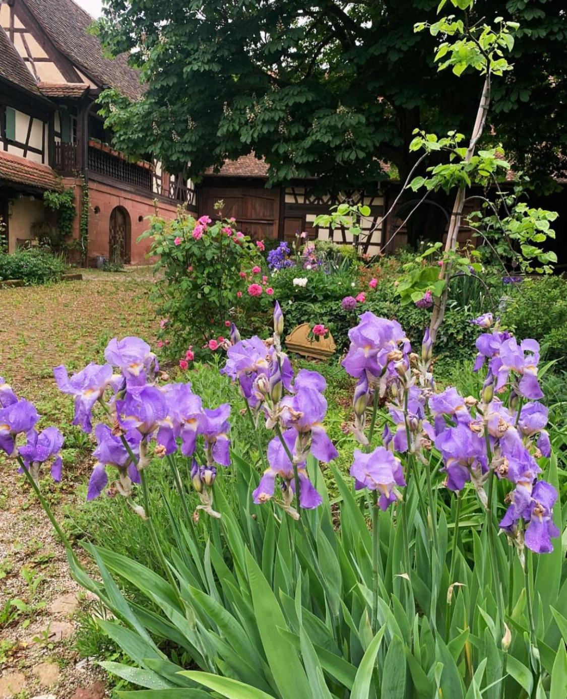 Bed and Breakfast Au Fil Du Temps Imbsheim Exterior foto